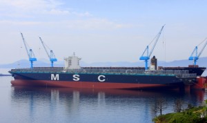 msc london 15,500 teu msc london 15,500 teu