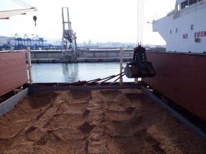 Sbarco primo carico di cippato (scaglie di legno) al Terminal Rinfuse Genova Sbarco primo carico di cippato (scaglie di legno) al Terminal Rinfuse Genova