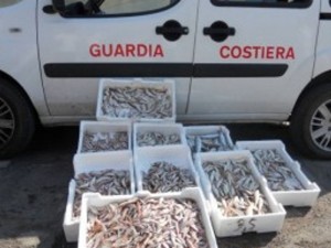 pesce-sequestrato pesce-sequestrato