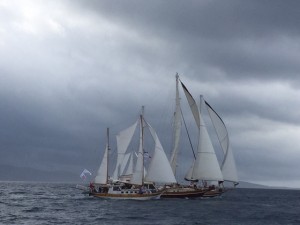 bodrum cup ultima bodrum cup ultima