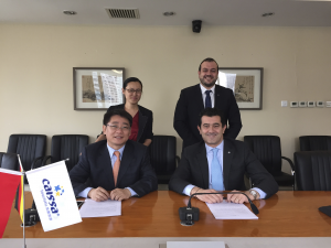 msc diventa globale msc diventa globale
