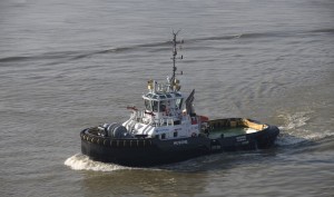 MUSONE ASD_Tug_2810_Musone MUSONE ASD_Tug_2810_Musone