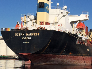 ocean harvest ocean harvest