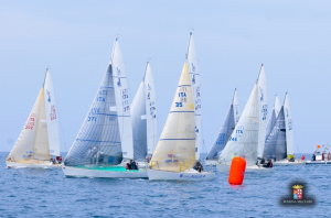 j24 LEO j24 LEO
