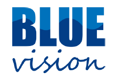 blue vision logo blue vision logo