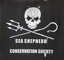 sea-shepherd sea-shepherd