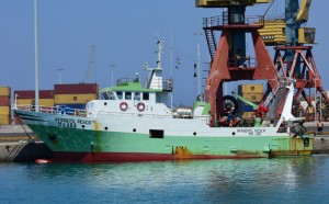 afrodite-pesca afrodite-pesca