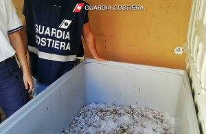 guardia-costiera-salerno-pesca-illegale guardia-costiera-salerno-pesca-illegale