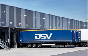 immagine-dsv-1 immagine-dsv-1