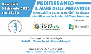 programma-09-02-2022-m programma-09-02-2022-m