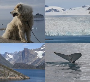 inf-nav-msc-crociere-groenlandia-e-islanda-viaggio-di-3-settimane