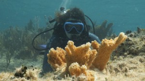 mscf_piantumazione-coralli_1